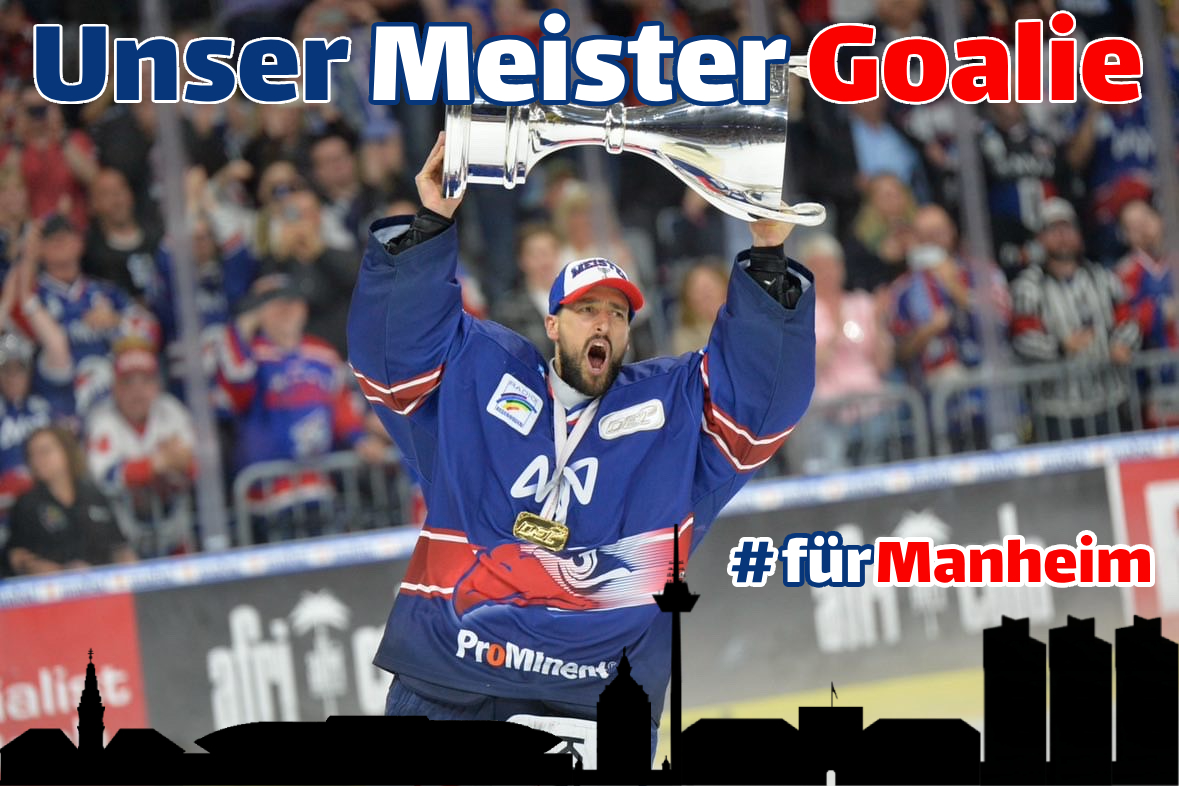 Meister Goalie